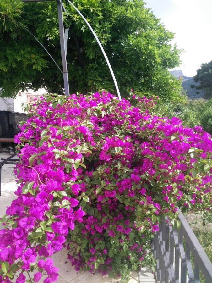 Incantevole Villa Con Vista Mozzafiato Cefalu Ngoại thất bức ảnh