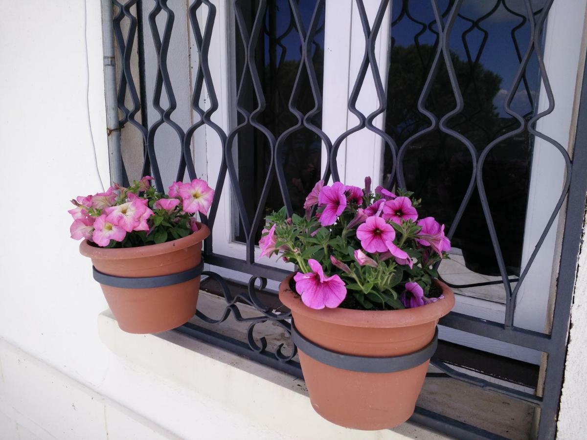 Incantevole Villa Con Vista Mozzafiato Cefalu Ngoại thất bức ảnh